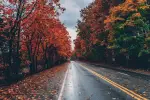 Autumn road photo shrunk to 16:9 YouTube thumbnail using content-aware scaling